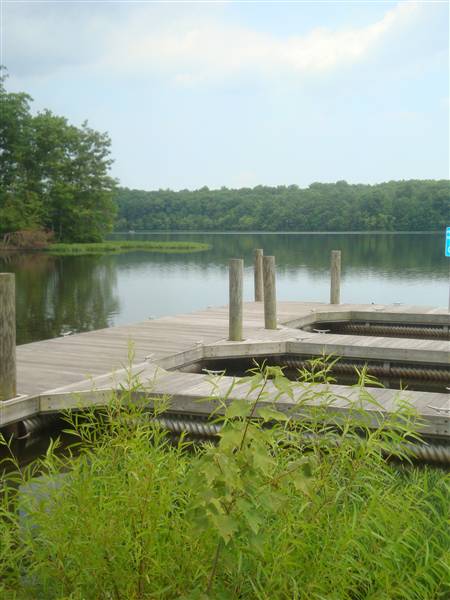 Burke Lake photo by Erol Sevin